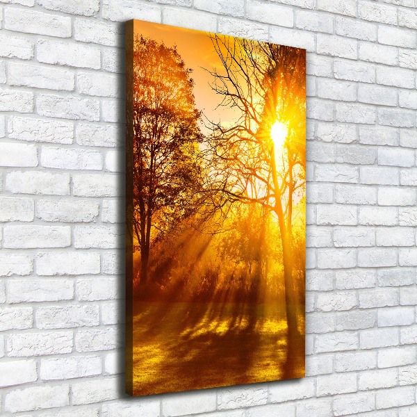 Foto leinwand vertikales Park im Herbst