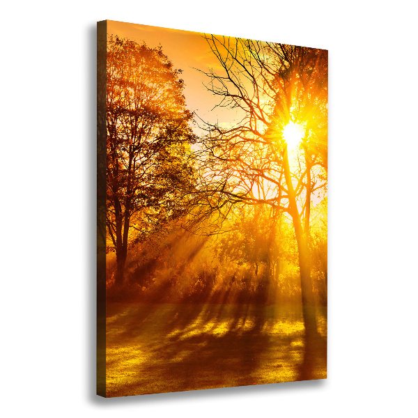 Foto leinwand vertikales Park im Herbst