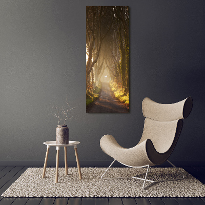 Foto auf leinwand vertikales Pfad im Wald