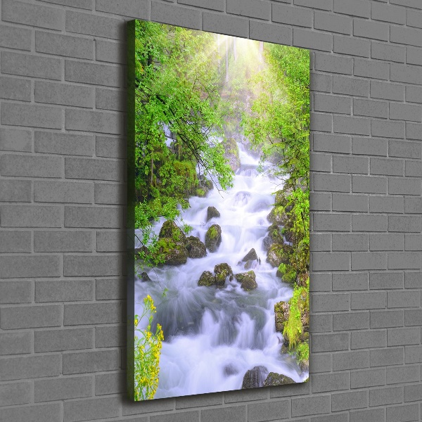 Wandbild vertikales Gebirgsbach