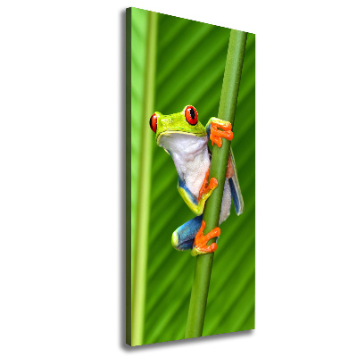 Foto auf leinwand vertikales Europäischer Laubfrosch