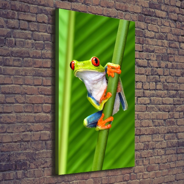 Foto auf leinwand vertikales Europäischer Laubfrosch