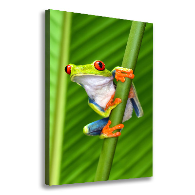 Foto auf leinwand vertikales Europäischer Laubfrosch