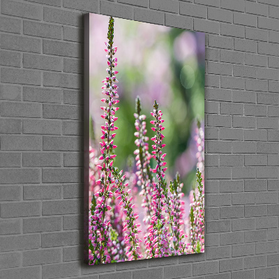 Foto auf leinwand vertikales Heidekraut