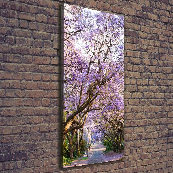 Foto leinwand vertikales Jacaranda-Pfad