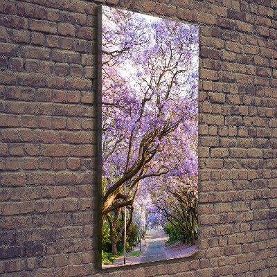 Foto leinwand vertikales Jacaranda-Pfad