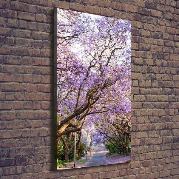 Foto leinwand vertikales Jacaranda-Pfad