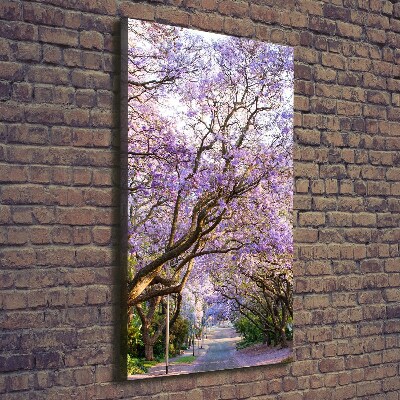 Foto leinwand vertikales Jacaranda-Pfad
