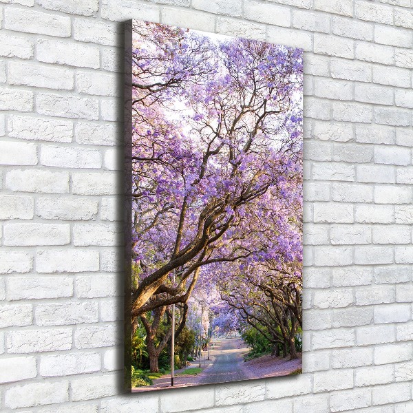 Foto leinwand vertikales Jacaranda-Pfad