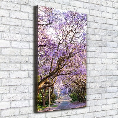 Foto leinwand vertikales Jacaranda-Pfad
