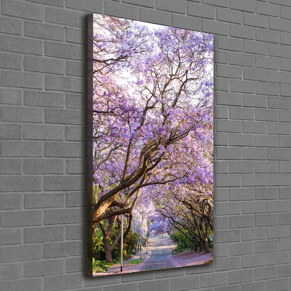 Foto leinwand vertikales Jacaranda-Pfad