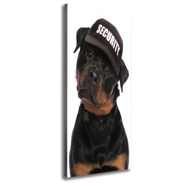 Foto leinwand vertikales Rottweiler mit Mütze