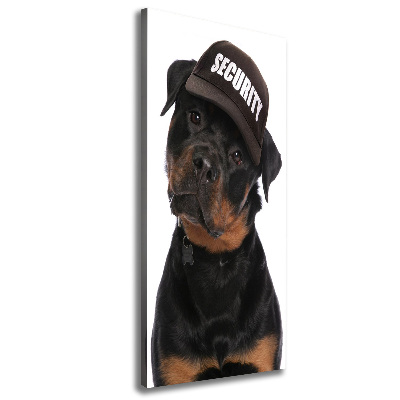 Foto leinwand vertikales Rottweiler mit Mütze