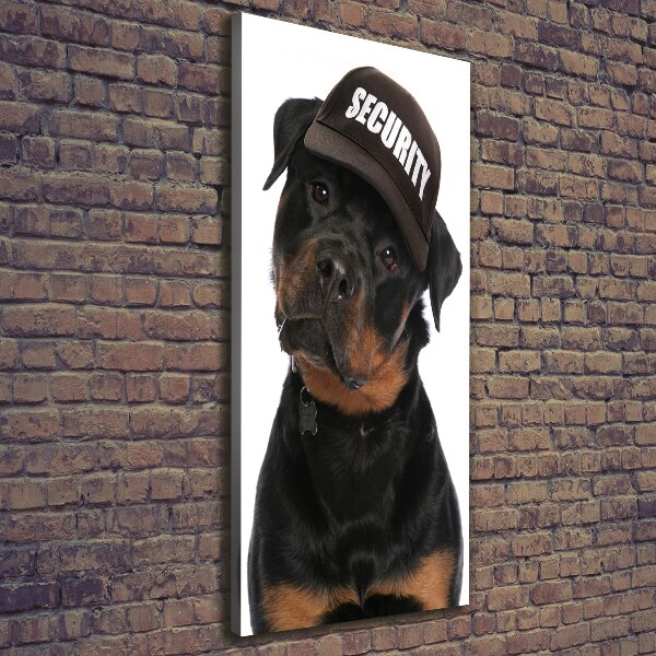 Foto leinwand vertikales Rottweiler mit Mütze