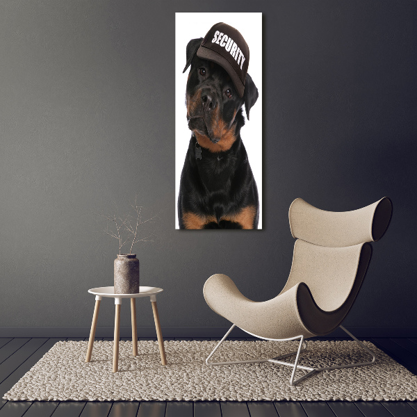 Foto leinwand vertikales Rottweiler mit Mütze