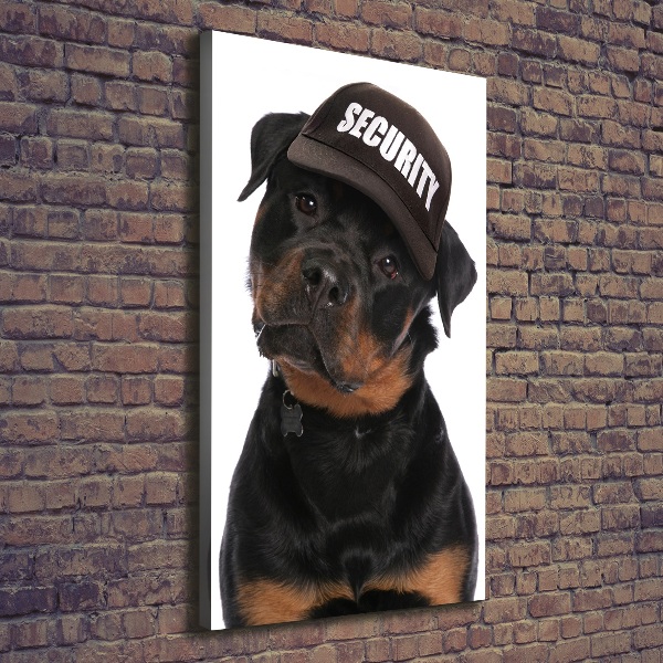 Foto leinwand vertikales Rottweiler mit Mütze
