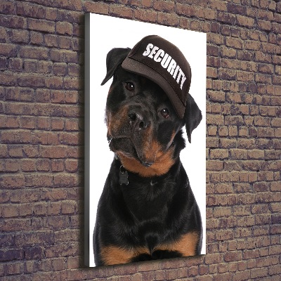 Foto leinwand vertikales Rottweiler mit Mütze