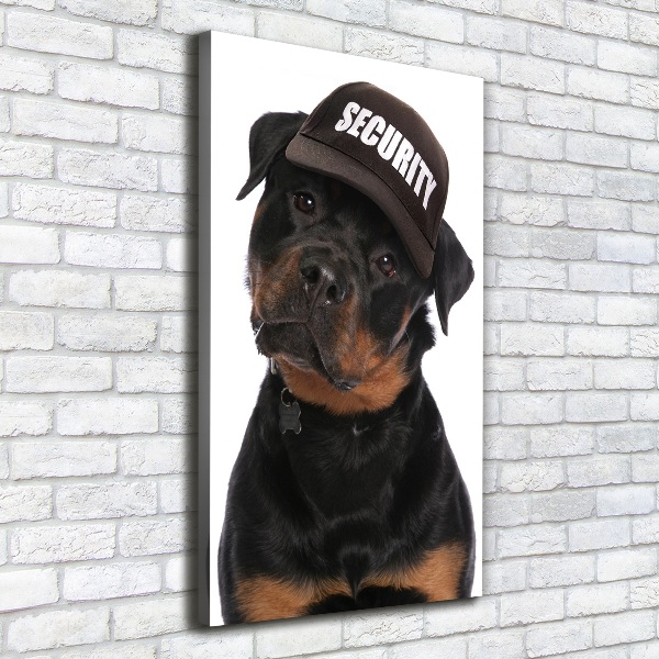 Foto leinwand vertikales Rottweiler mit Mütze