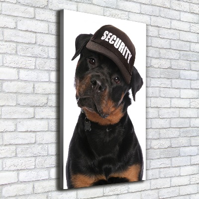 Foto leinwand vertikales Rottweiler mit Mütze