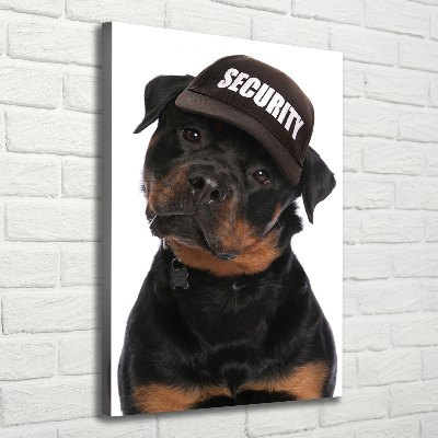 Foto leinwand vertikales Rottweiler mit Mütze