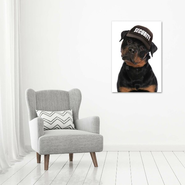Foto leinwand vertikales Rottweiler mit Mütze