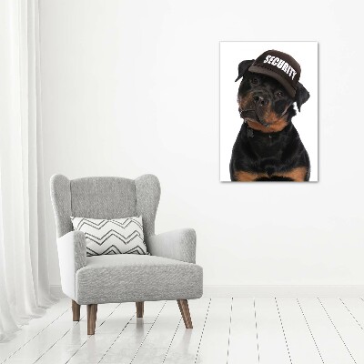 Foto leinwand vertikales Rottweiler mit Mütze