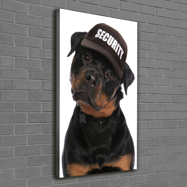 Foto leinwand vertikales Rottweiler mit Mütze