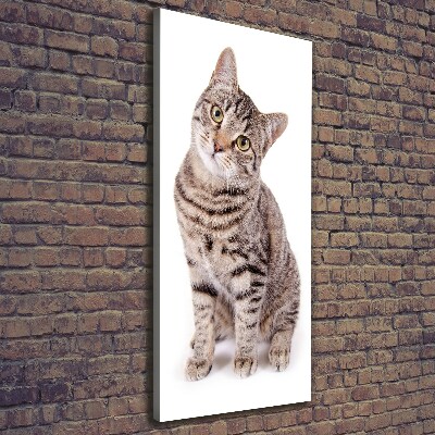 Foto auf leinwand vertikales Katze