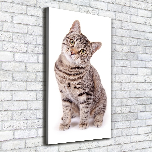 Foto auf leinwand vertikales Katze