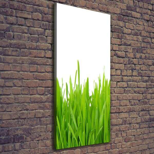 Foto auf leinwand vertikales Grünes Gras