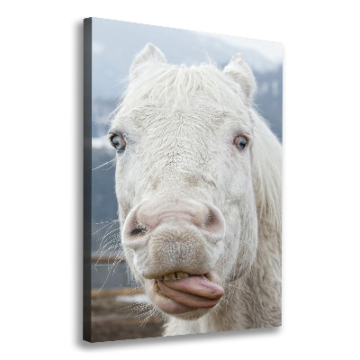 Foto leinwand vertikales Verrücktes weißes Pferd