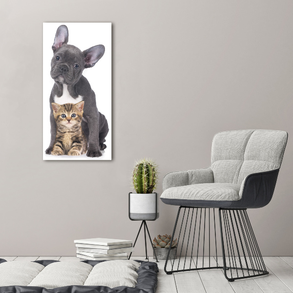 Foto auf leinwand vertikales Hund und Katze