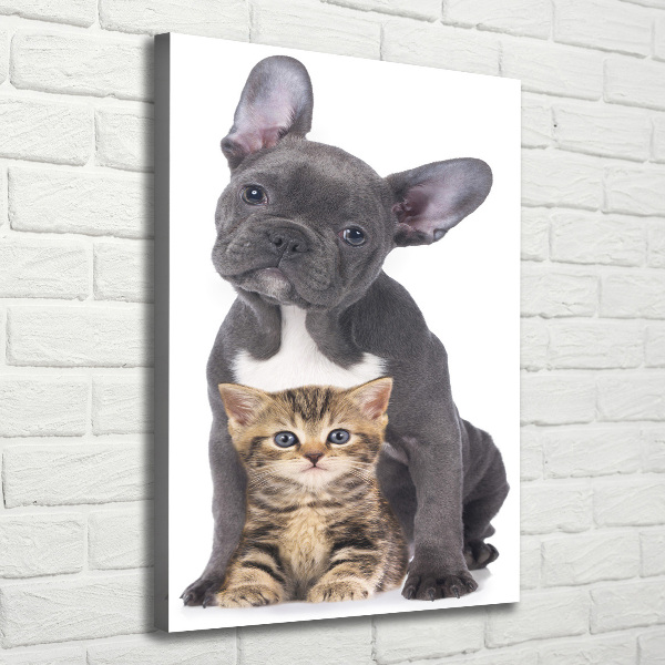 Foto auf leinwand vertikales Hund und Katze
