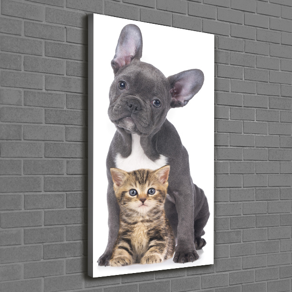 Foto auf leinwand vertikales Hund und Katze