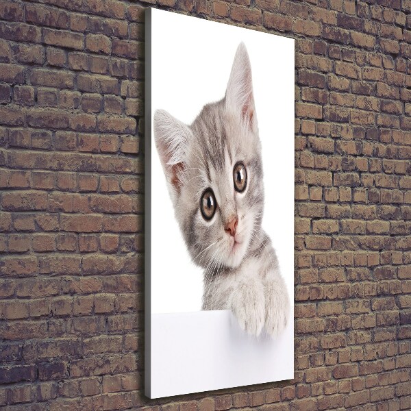 Wandbild vertikales Graue Katze