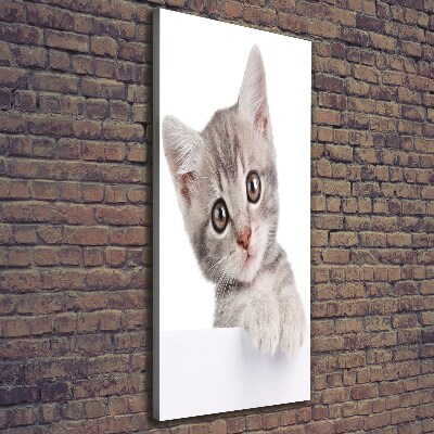Wandbild vertikales Graue Katze