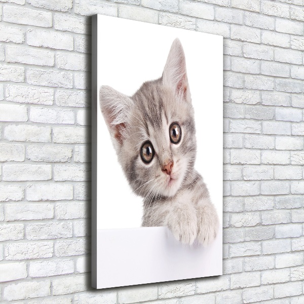 Wandbild vertikales Graue Katze