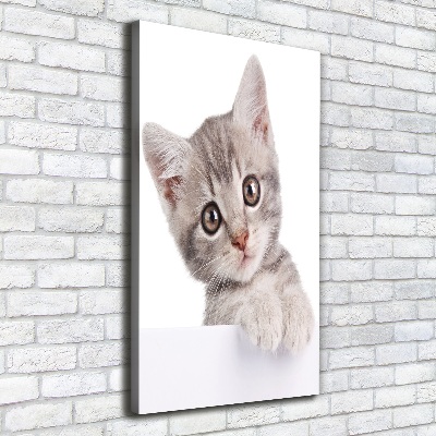 Wandbild vertikales Graue Katze