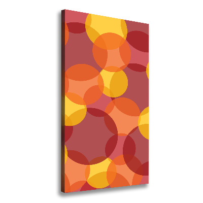 Foto auf leinwand vertikales Bunte Kreise
