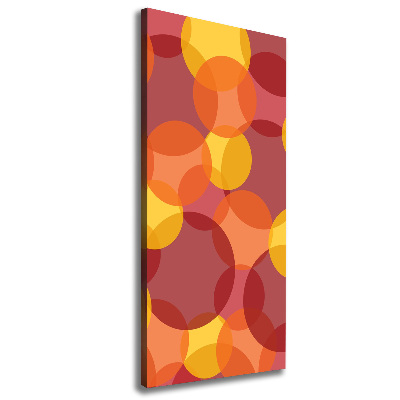 Foto auf leinwand vertikales Bunte Kreise