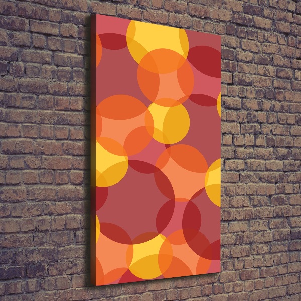 Foto auf leinwand vertikales Bunte Kreise