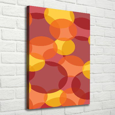 Foto auf leinwand vertikales Bunte Kreise
