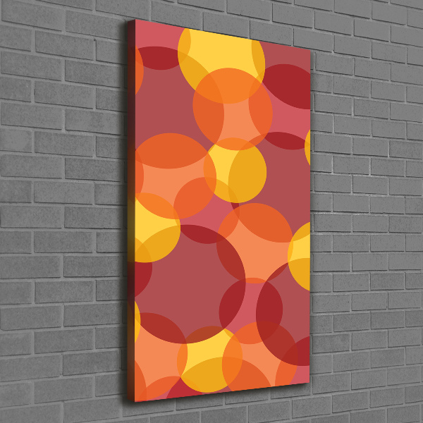 Foto auf leinwand vertikales Bunte Kreise