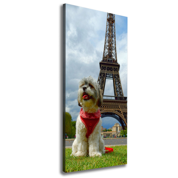 Foto leinwand vertikales Ein Hund in Paris