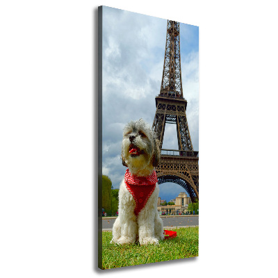 Foto leinwand vertikales Ein Hund in Paris
