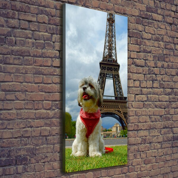Foto leinwand vertikales Ein Hund in Paris