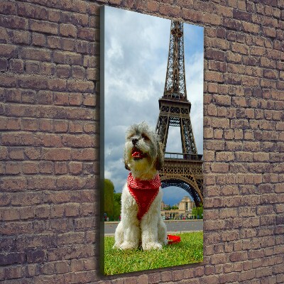 Foto leinwand vertikales Ein Hund in Paris