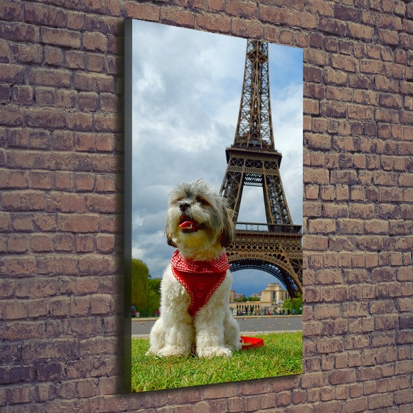 Foto leinwand vertikales Ein Hund in Paris