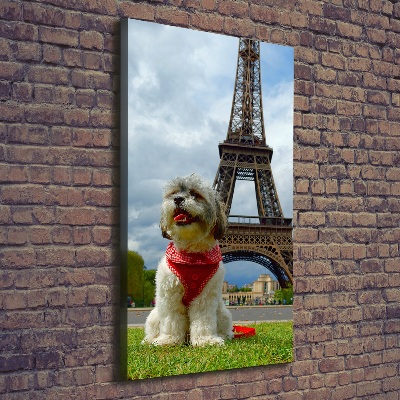 Foto leinwand vertikales Ein Hund in Paris