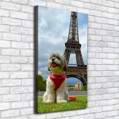 Foto leinwand vertikales Ein Hund in Paris